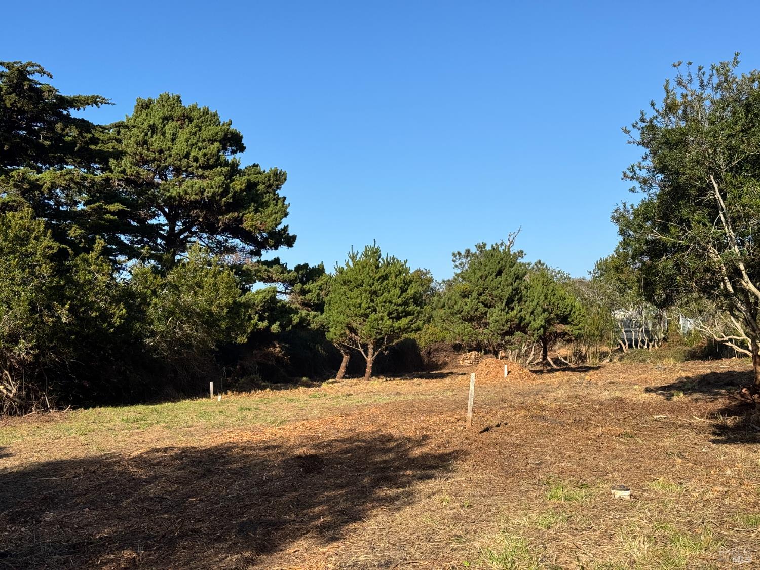 25261 Ward Avenue Fort Bragg CA 95437