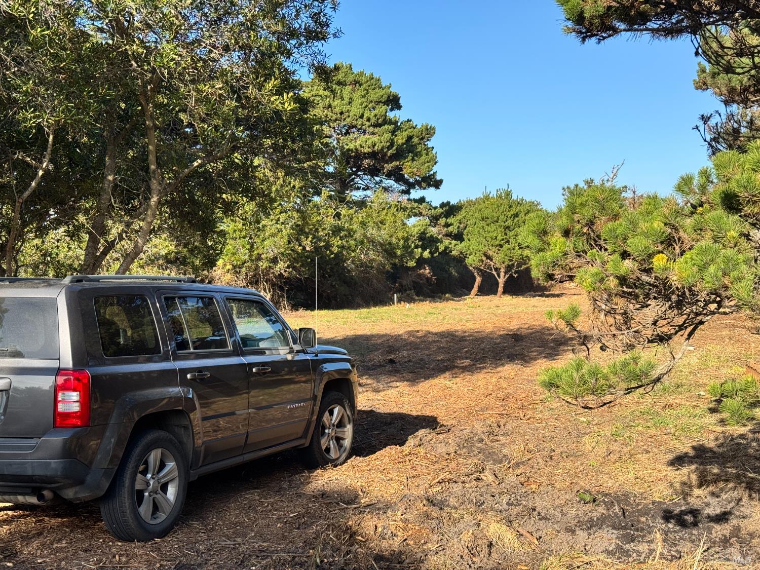 25261 Ward Avenue Fort Bragg CA 95437