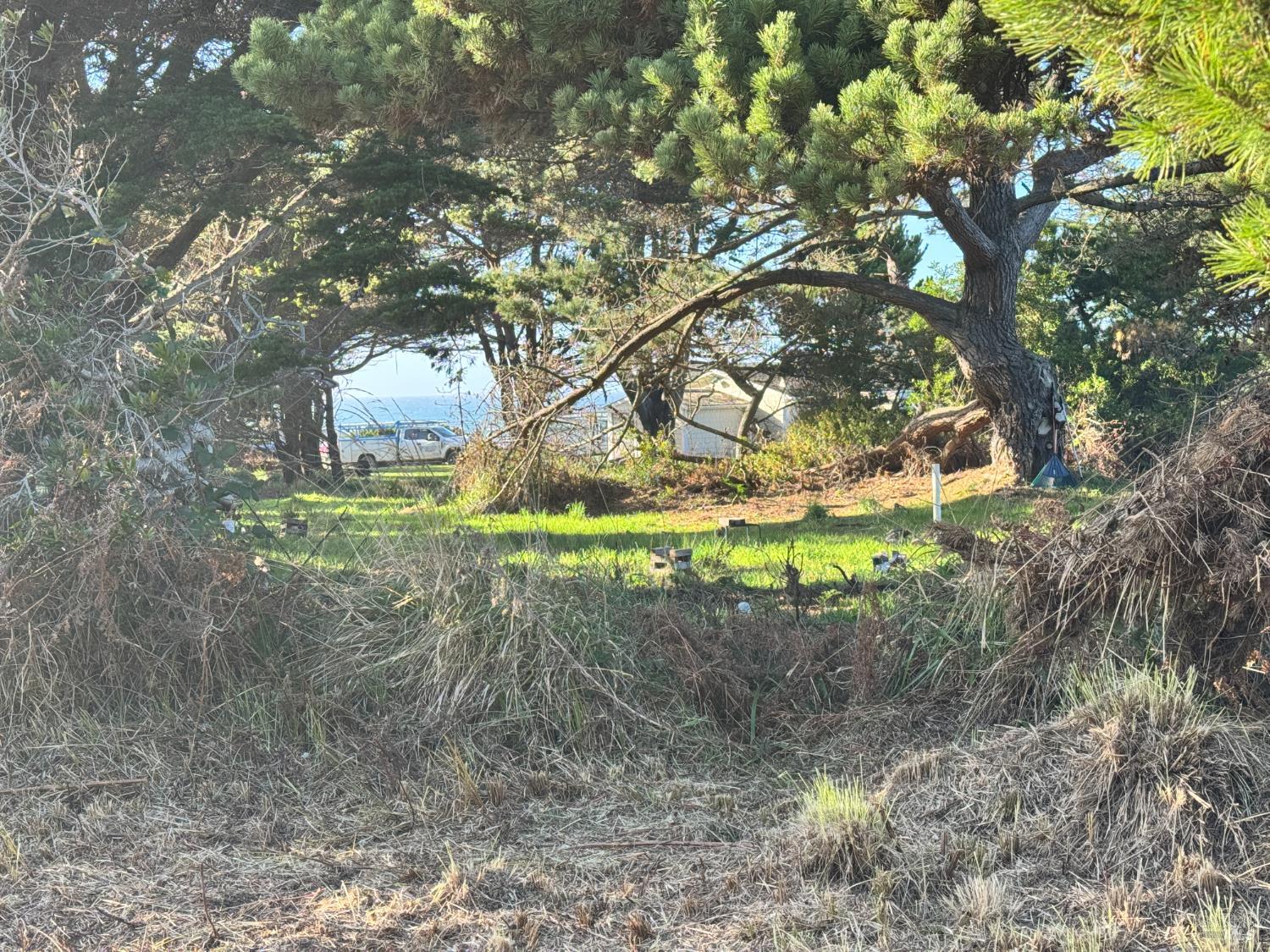 25261 Ward Avenue Fort Bragg CA 95437