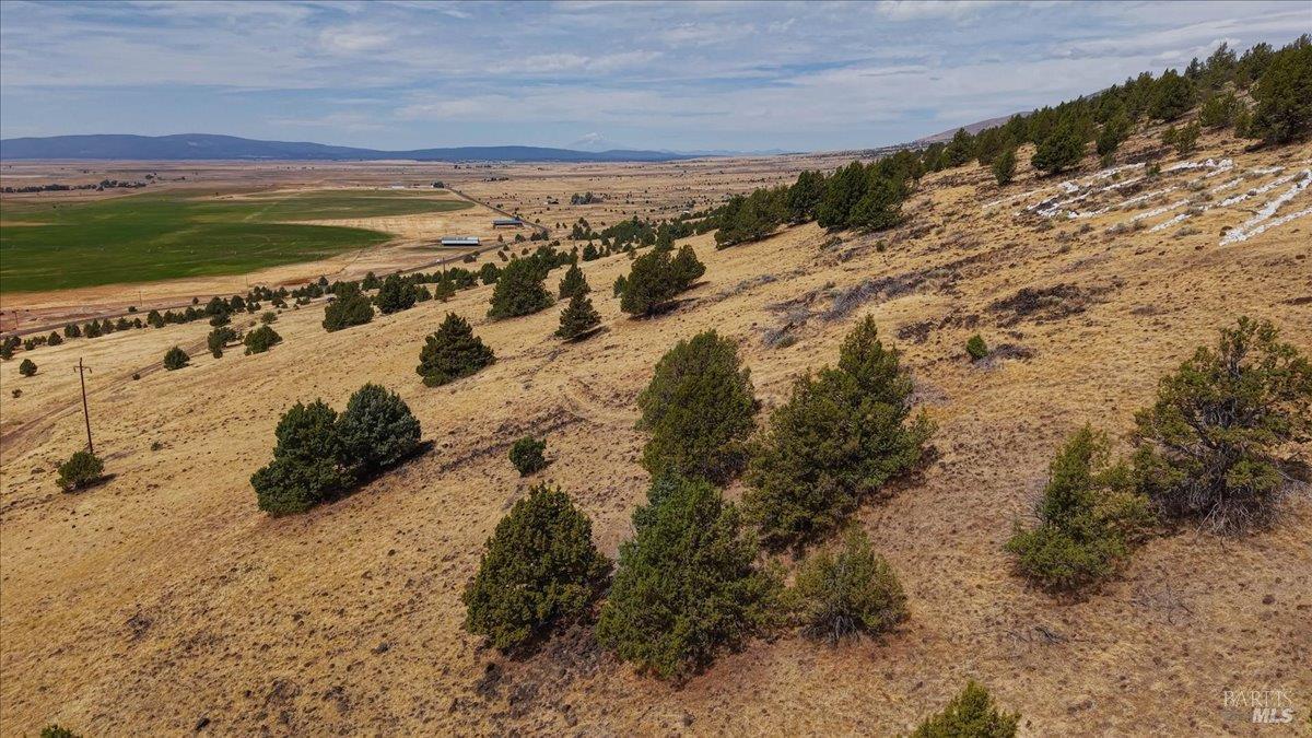 0 County Road Adin CA 96006