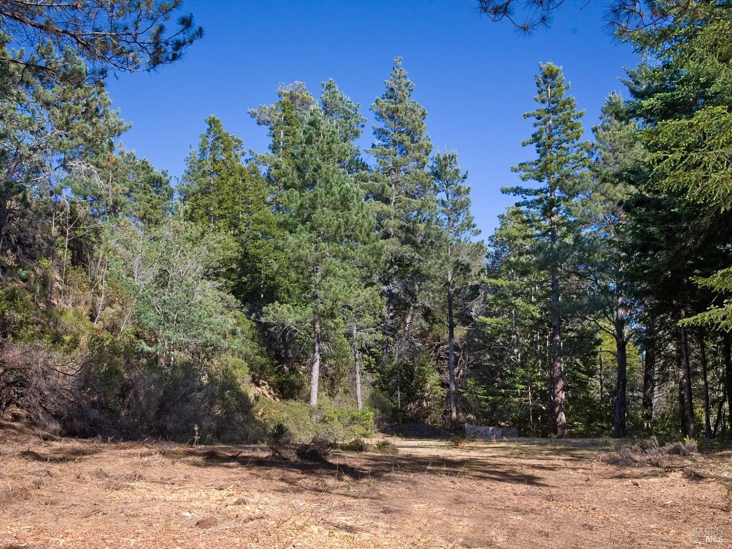 46109 Fish Rock Road Gualala CA 95445