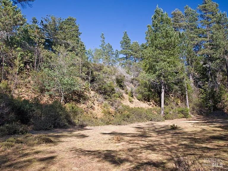 46109 Fish Rock Road Gualala CA 95445
