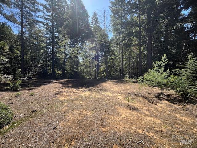 46109 Fish Rock Road Gualala CA 95445