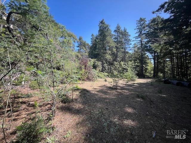 46109 Fish Rock Road Gualala CA 95445