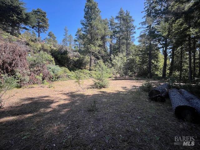 46109 Fish Rock Road Gualala CA 95445
