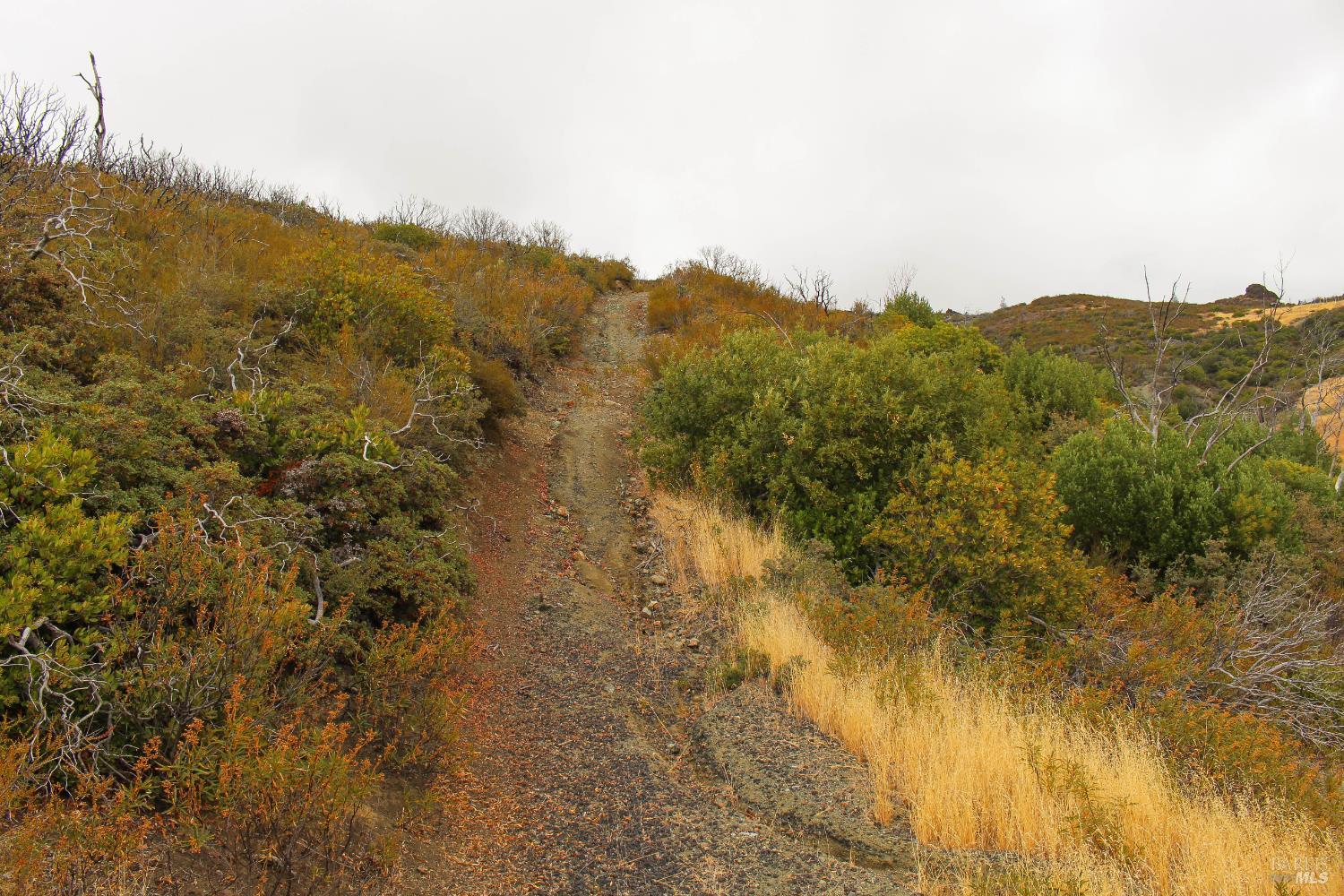 8740 Rocky Creek Road Lower Lake CA 95457