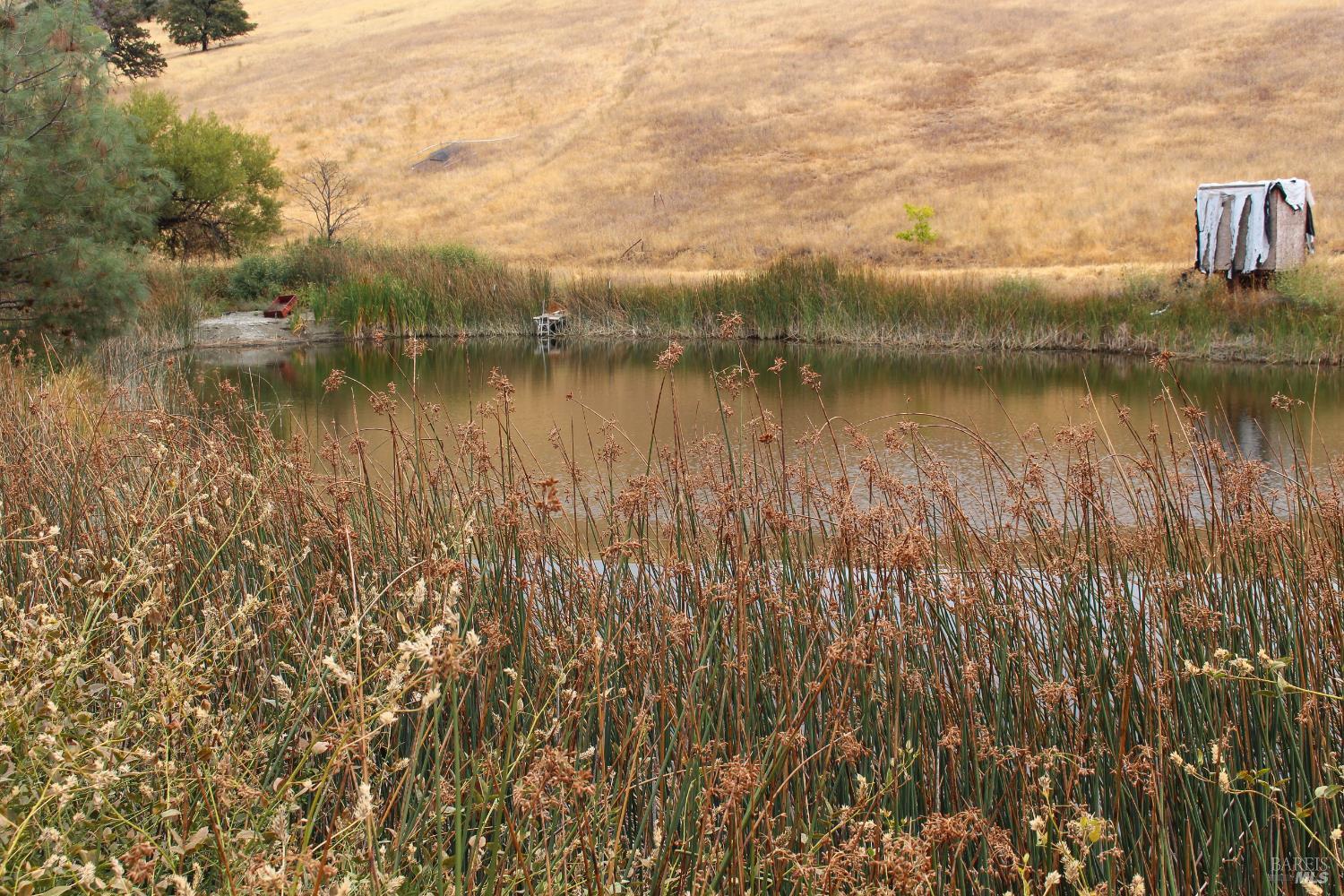 8740 Rocky Creek Road Lower Lake CA 95457