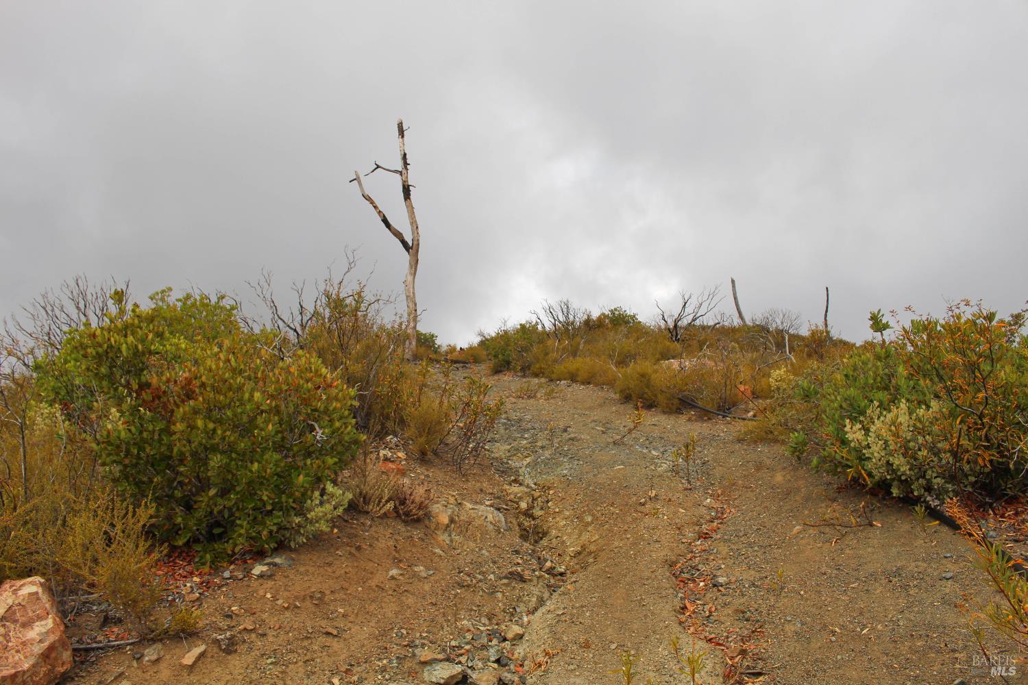 8740 Rocky Creek Road Lower Lake CA 95457
