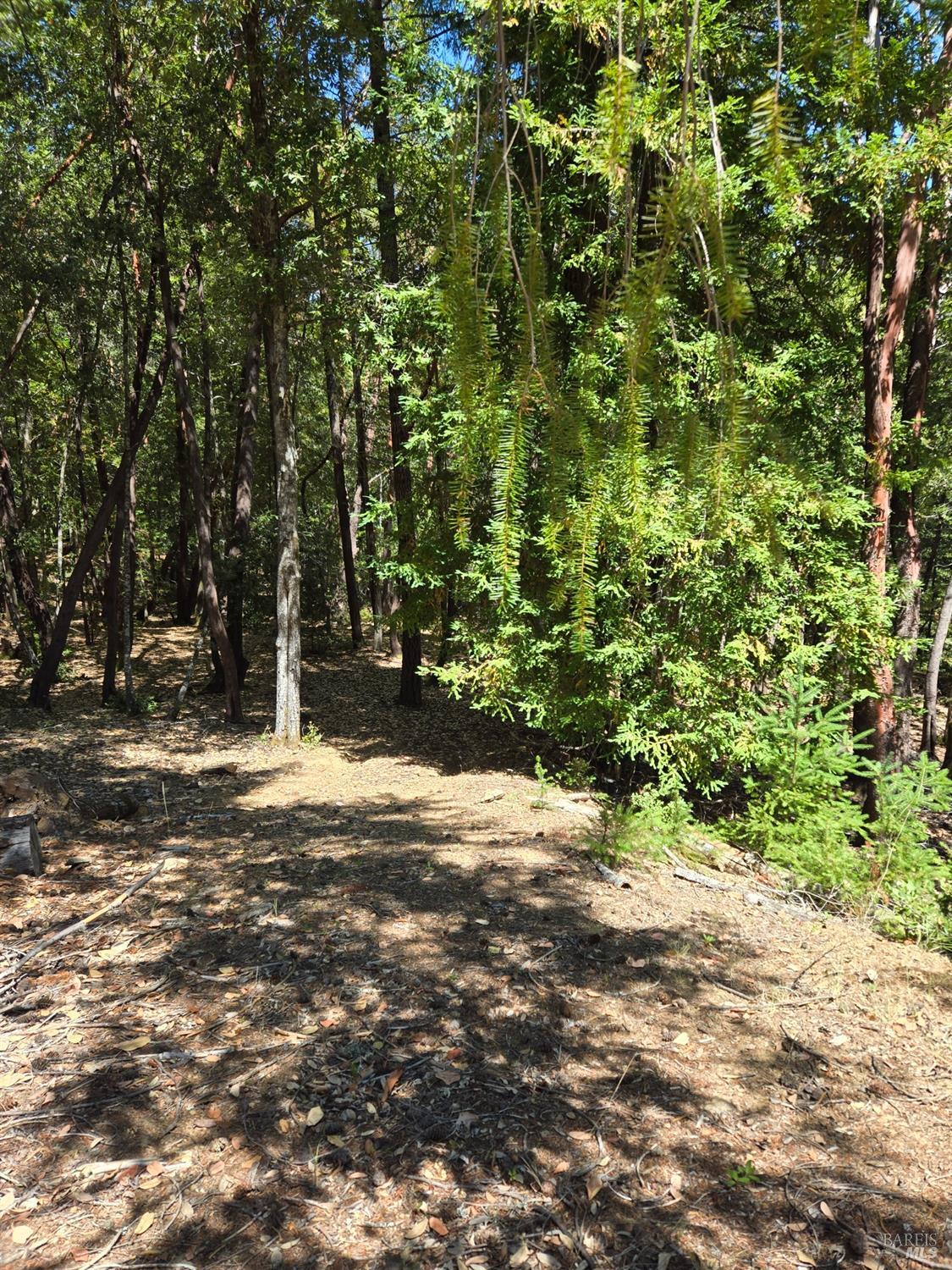 26710 Poppy Drive Willits CA 95490