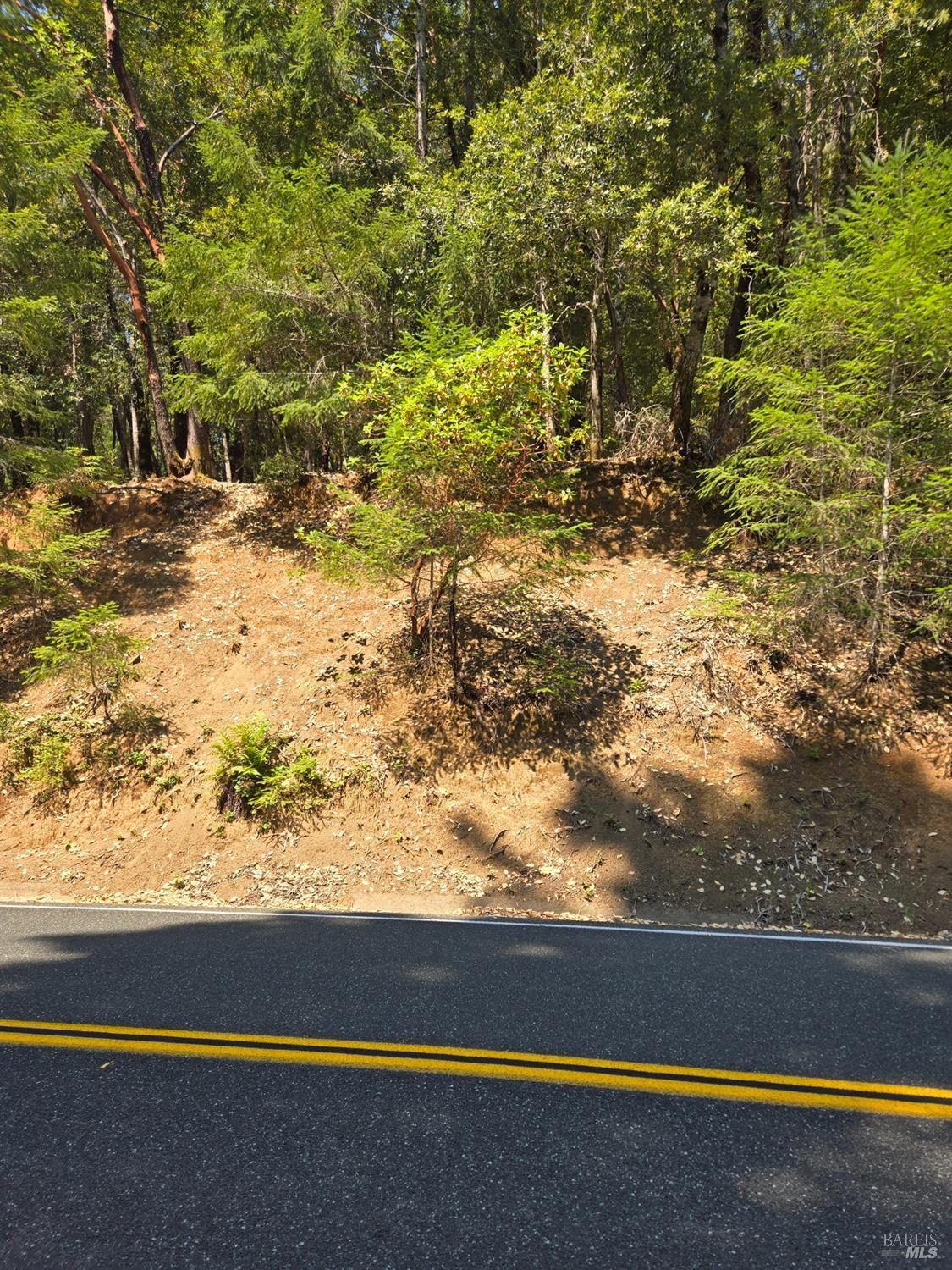 26710 Poppy Drive Willits CA 95490