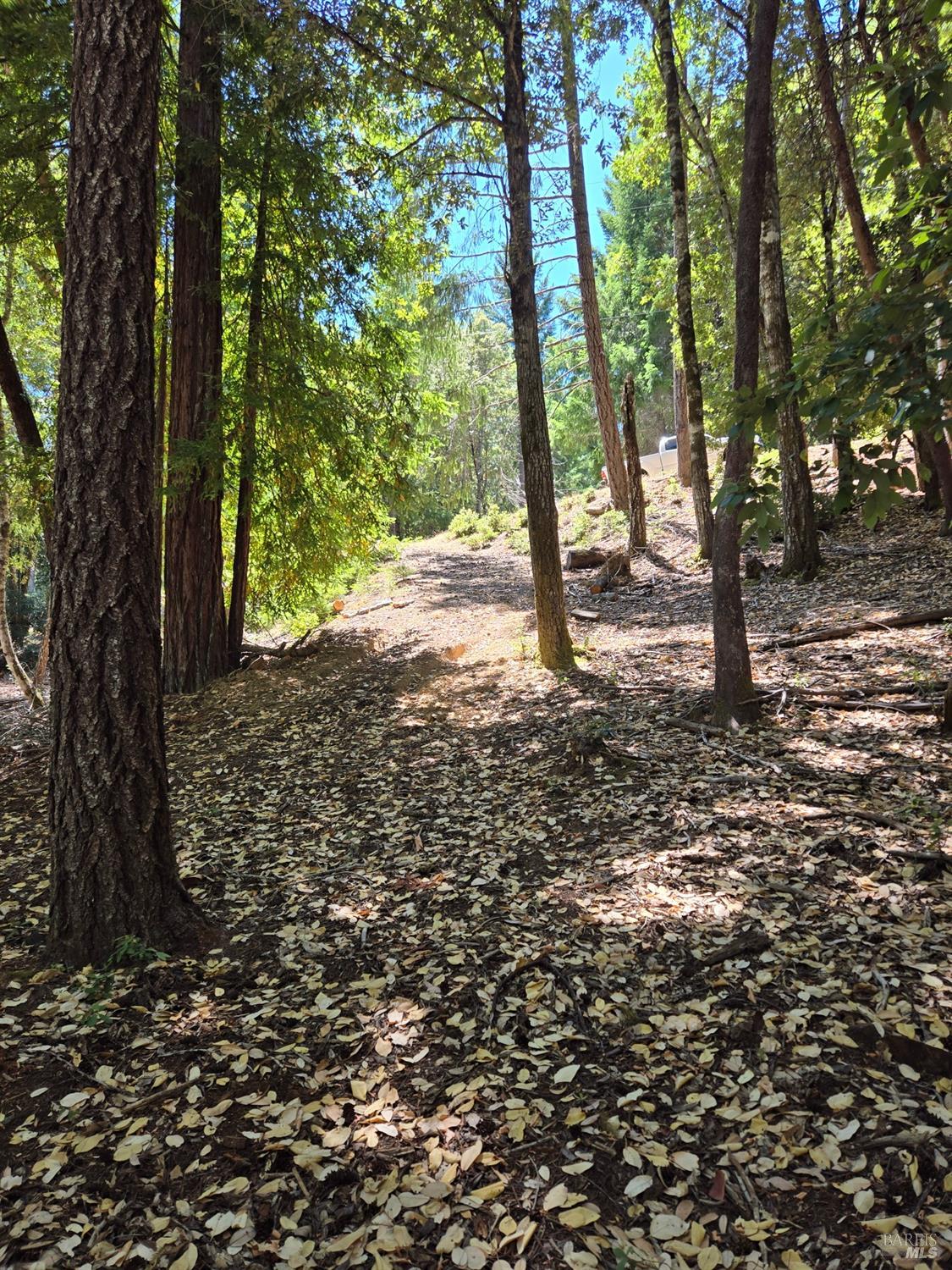 26710 Poppy Drive Willits CA 95490
