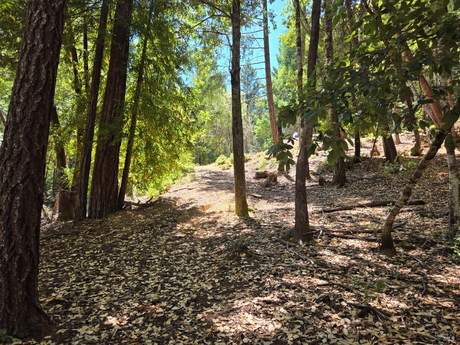 26710 Poppy Drive Willits CA 95490