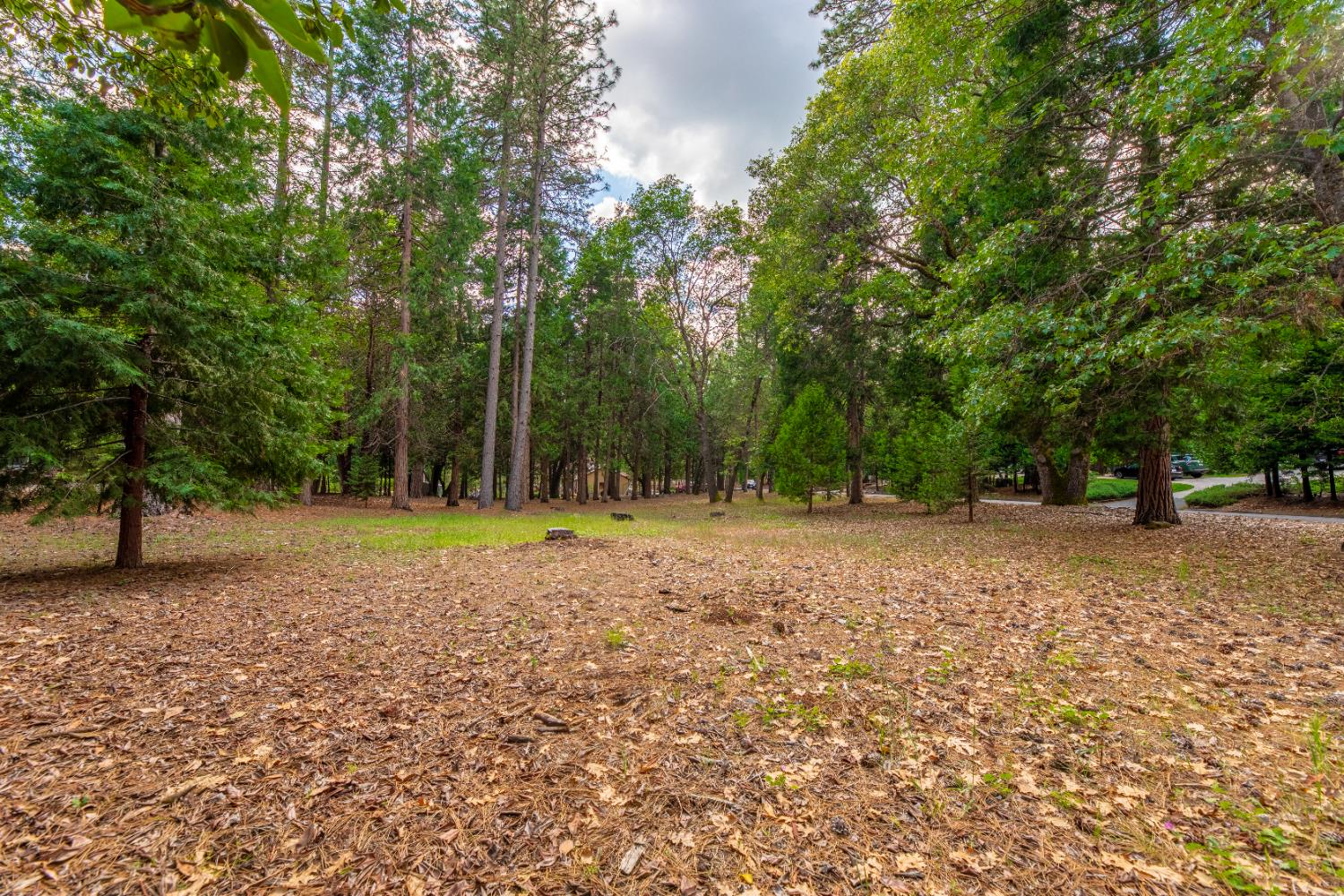 5627 Maywood Drive Foresthill CA 95631