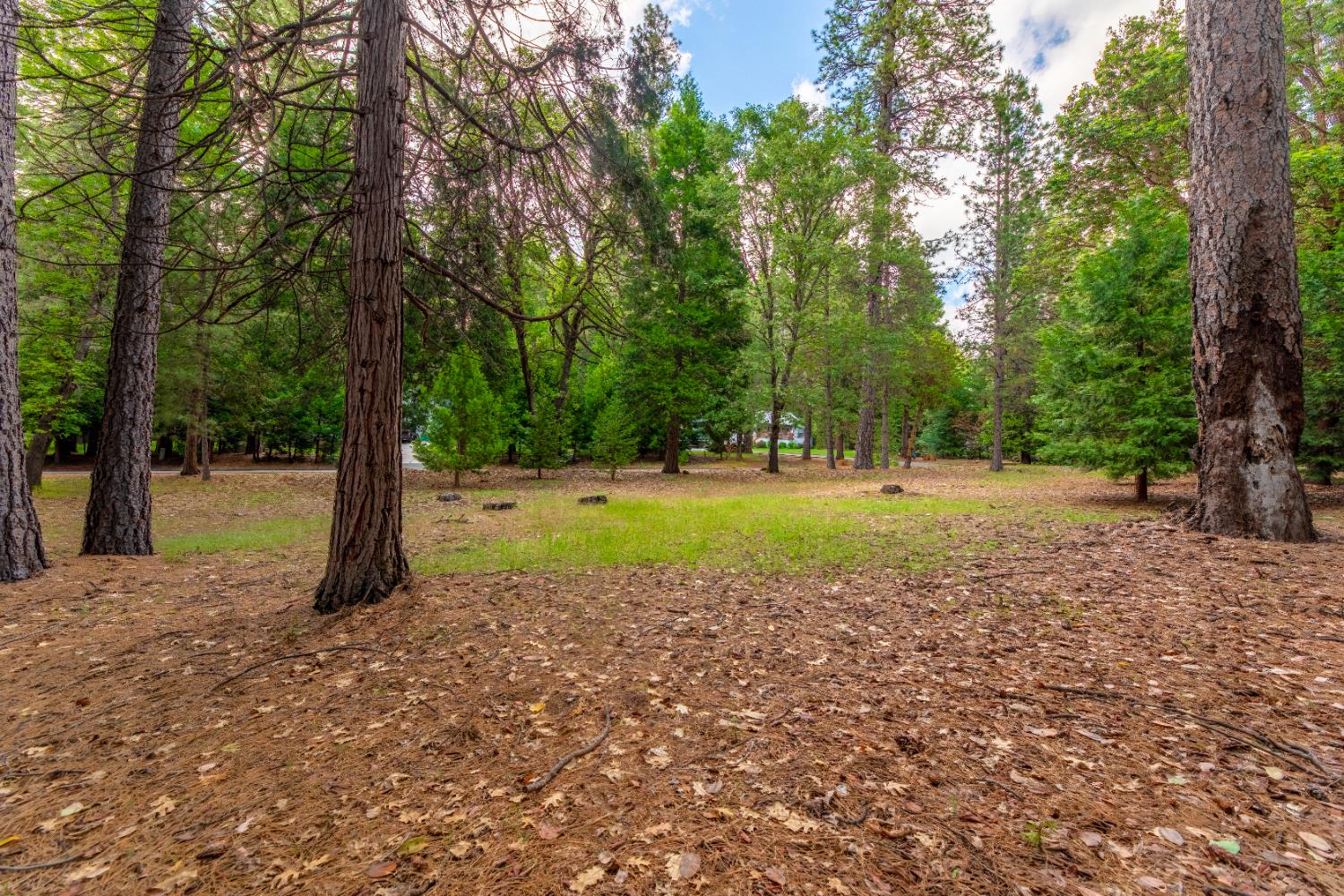 5627 Maywood Drive Foresthill CA 95631
