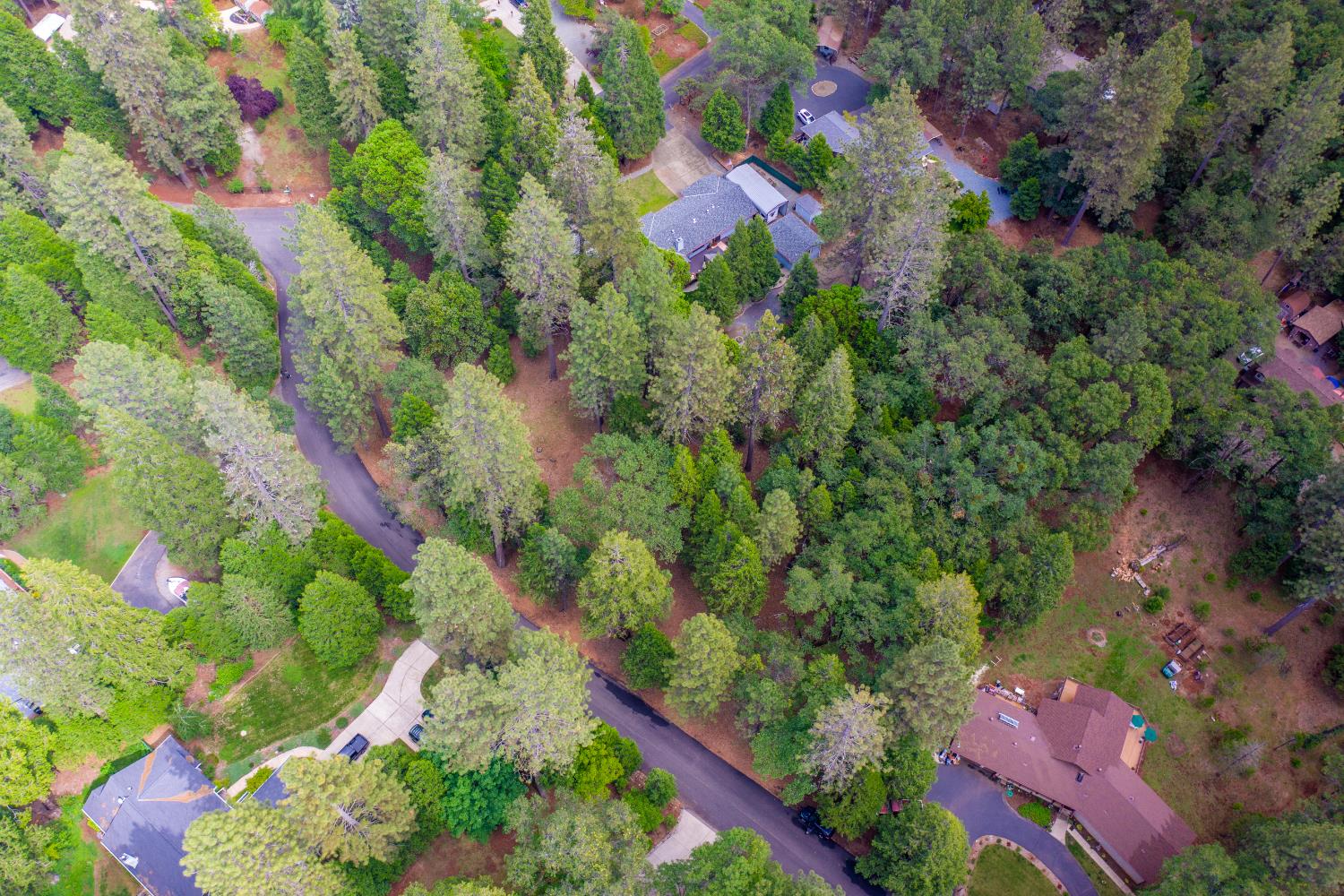 5627 Maywood Drive Foresthill CA 95631