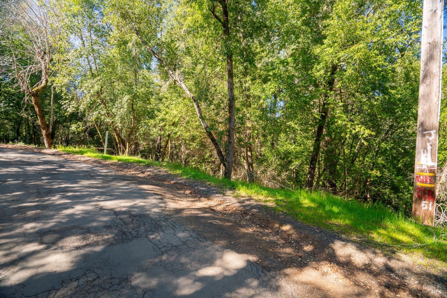 10608 Canyon Road Forestville CA 95436