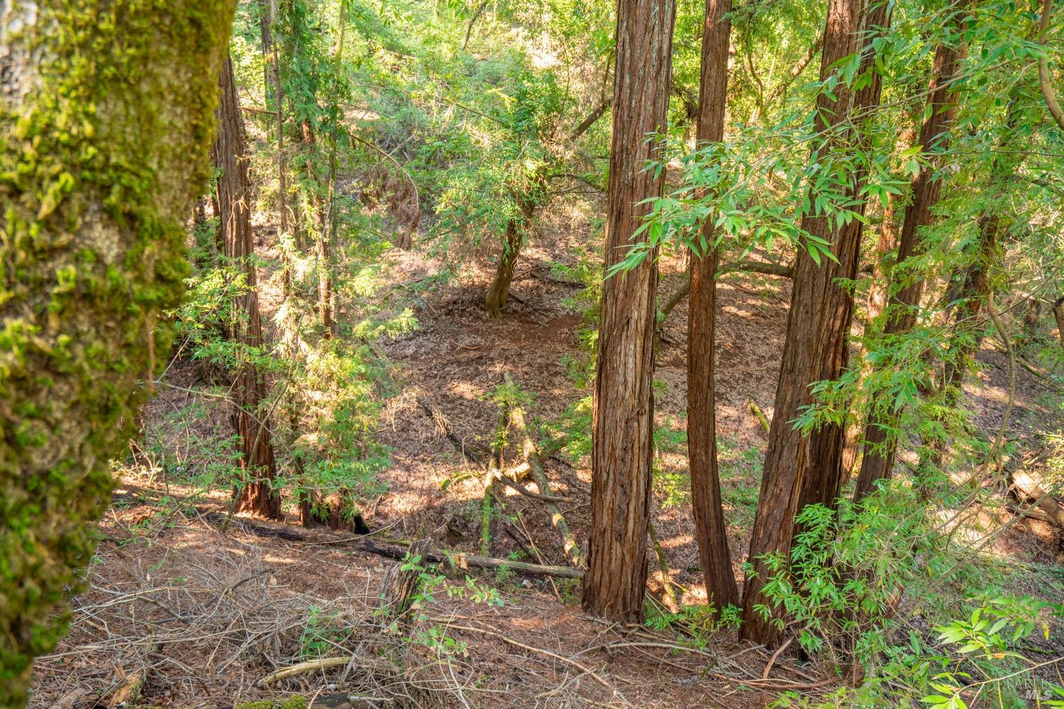 10608 Canyon Road Forestville CA 95436