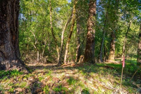 10608 Canyon Road Forestville CA 95436
