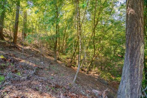 10608 Canyon Road Forestville CA 95436