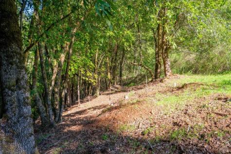 10608 Canyon Road Forestville CA 95436