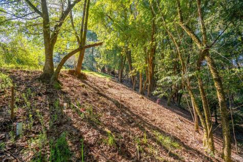 10608 Canyon Road Forestville CA 95436