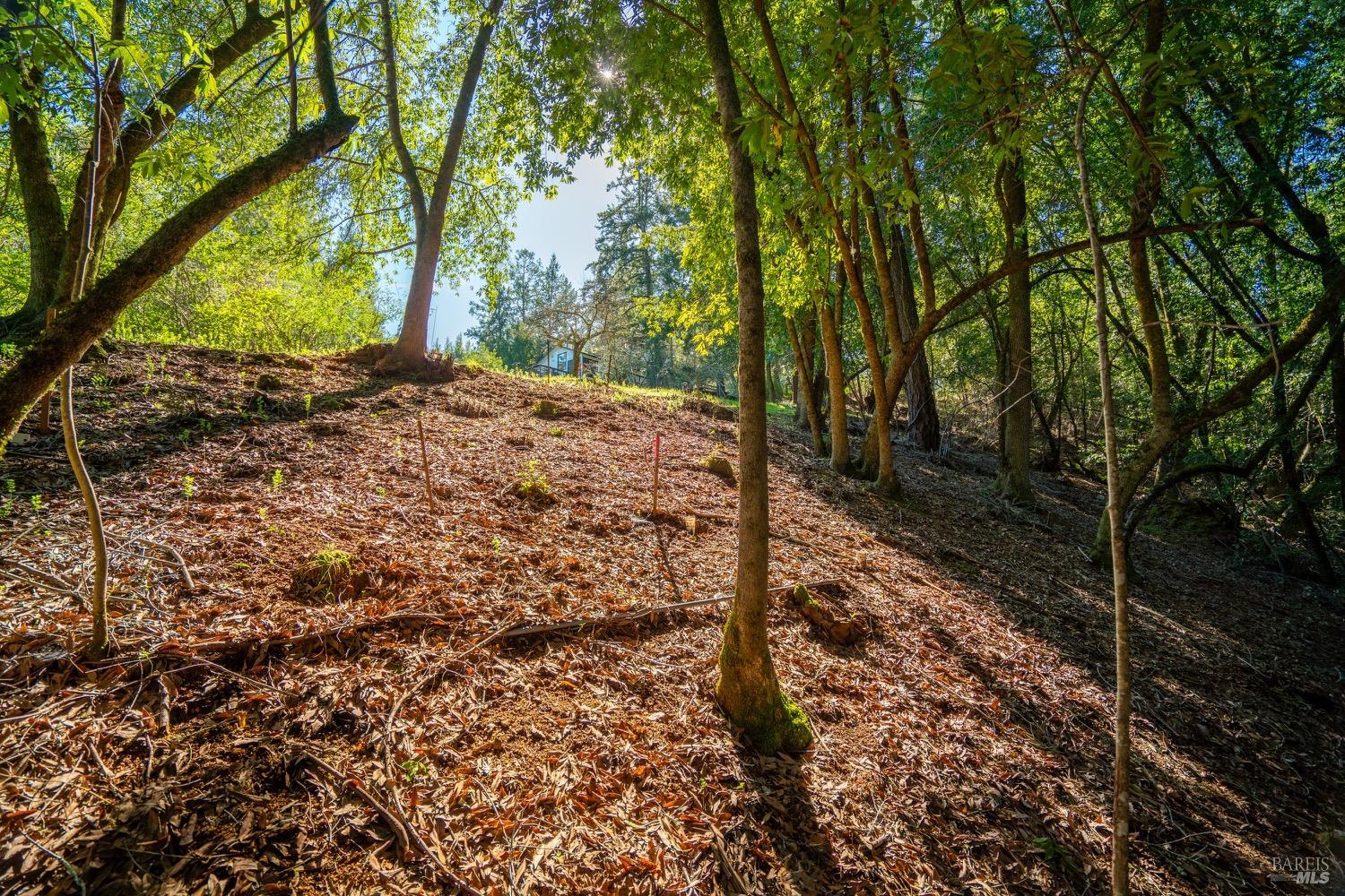 10608 Canyon Road Forestville CA 95436