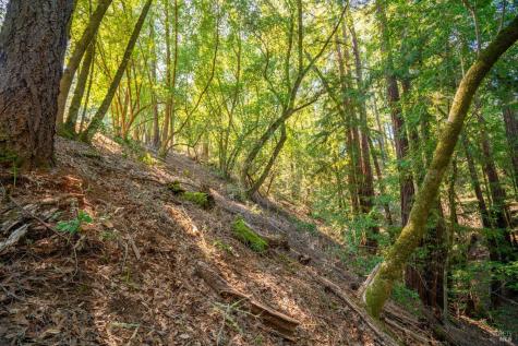 10608 Canyon Road Forestville CA 95436