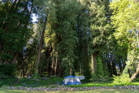 Forestville CA 95436