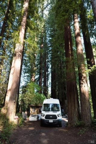 Forestville CA 95436