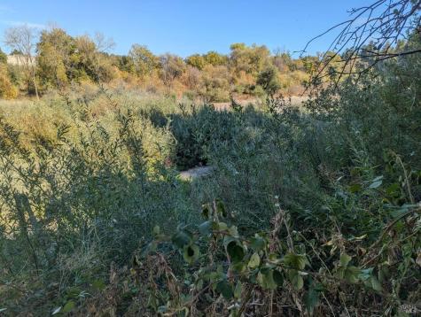 Forestville CA 95436