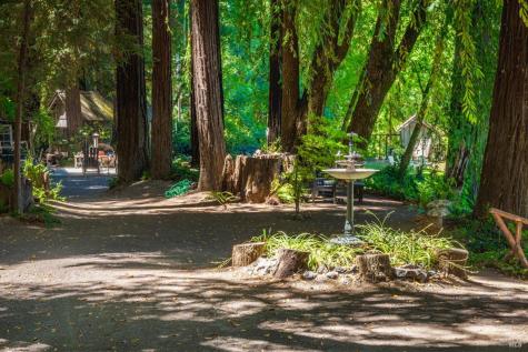 Forestville CA 95436