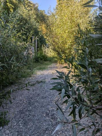 Forestville CA 95436