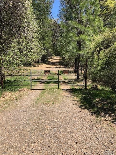6736 Harrington Flat Road Loch Lomond CA 95461