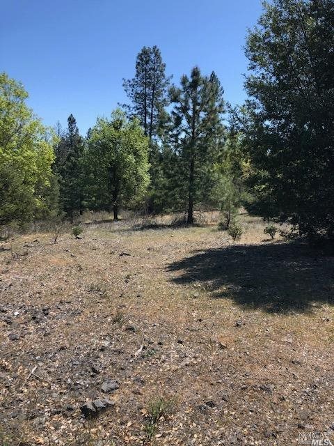 6736 Harrington Flat Road Loch Lomond CA 95461