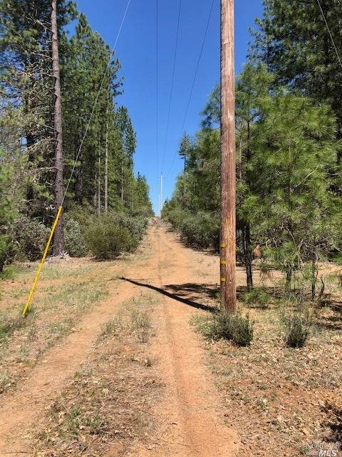 6736 Harrington Flat Road Loch Lomond CA 95461