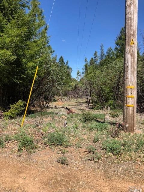 6736 Harrington Flat Road Loch Lomond CA 95461