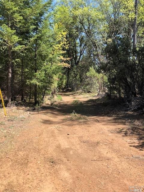 6736 Harrington Flat Road Loch Lomond CA 95461