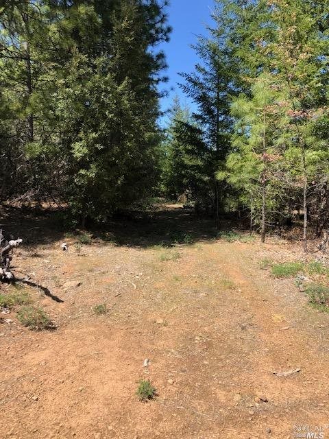 6736 Harrington Flat Road Loch Lomond CA 95461