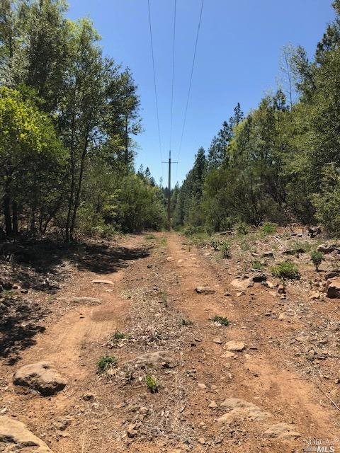 6736 Harrington Flat Road Loch Lomond CA 95461