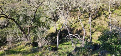 2101 Leslie Road Healdsburg CA 95448