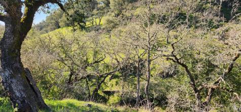 2101 Leslie Road Healdsburg CA 95448