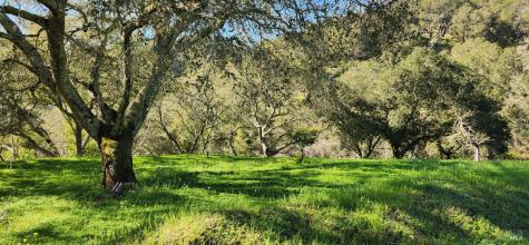 2101 Leslie Road Healdsburg CA 95448
