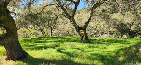 2101 Leslie Road Healdsburg CA 95448