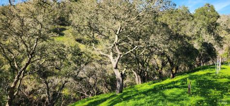 2101 Leslie Road Healdsburg CA 95448