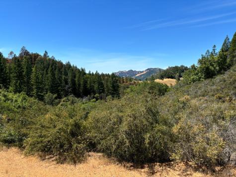 4901 Stewarts Point Skaggs Springs Road Geyserville CA 95441