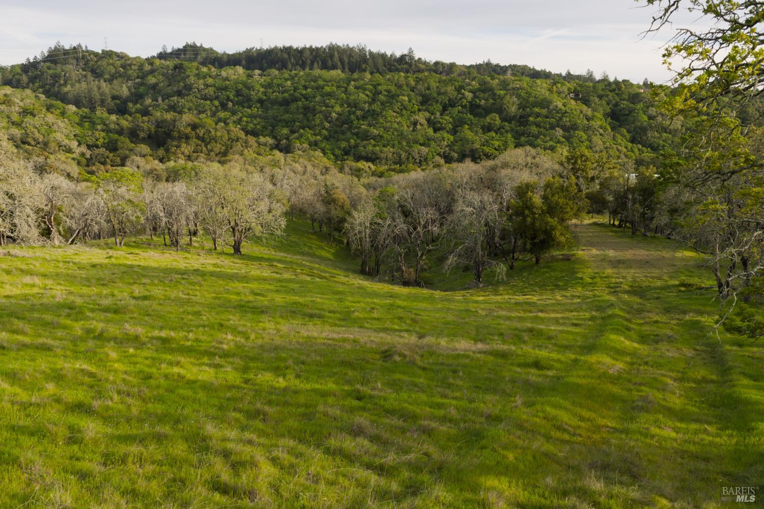 4801 Shiloh Ridge Santa Rosa CA 95403