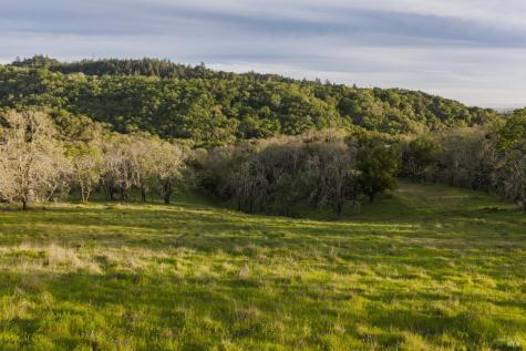 4801 Shiloh Ridge Santa Rosa CA 95403