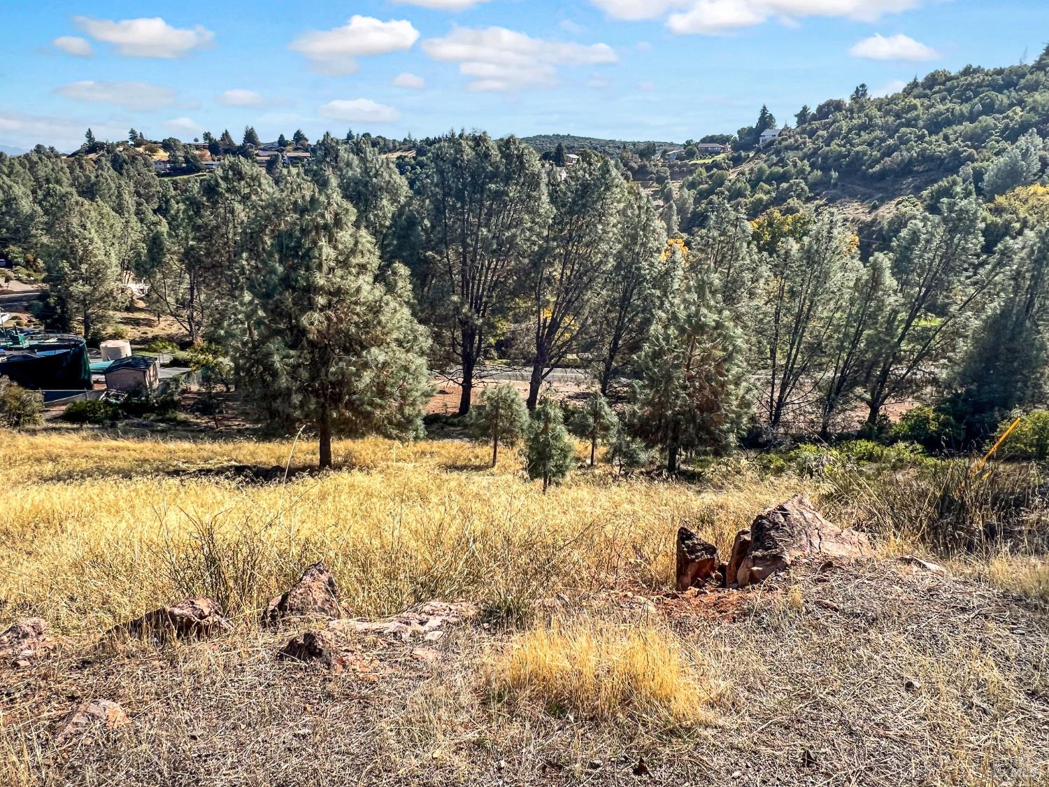10203 El Capitan Way Kelseyville CA 95451