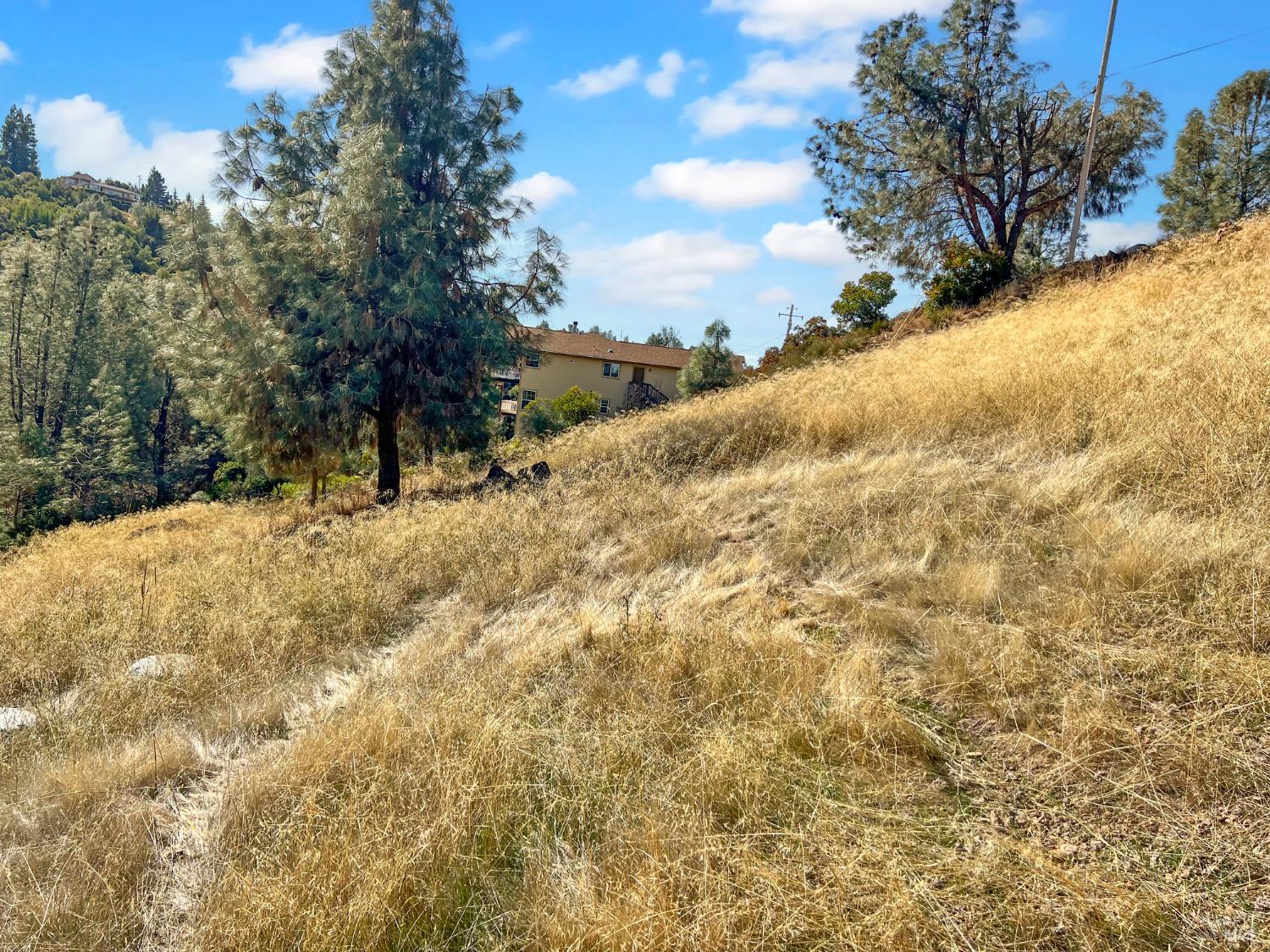 10203 El Capitan Way Kelseyville CA 95451
