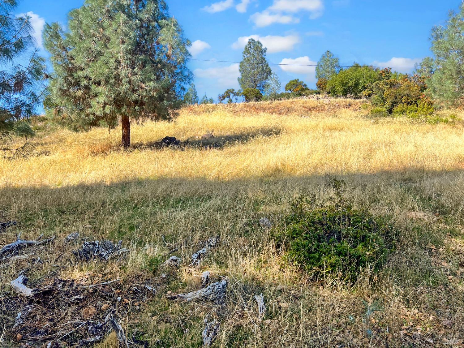 10203 El Capitan Way Kelseyville CA 95451